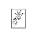 Picture of Sketched Giraffe _GroupedProduct_Rectangle_Portrait_Mini_ _GroupedProduct_Rectangle_Portrait_Canvas_Framed_