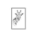 Picture of Sketched Giraffe _GroupedProduct_Rectangle_Portrait_Mini_ _GroupedProduct_Rectangle_Portrait_Canvas_Framed_