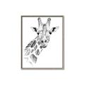 Picture of Sketched Giraffe _GroupedProduct_Rectangle_Portrait_Mini_ _GroupedProduct_Rectangle_Portrait_Canvas_Framed_