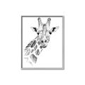 Picture of Sketched Giraffe _GroupedProduct_Rectangle_Portrait_Mini_ _GroupedProduct_Rectangle_Portrait_Canvas_Framed_