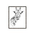 Picture of Sketched Giraffe _GroupedProduct_Rectangle_Portrait_Mini_ _GroupedProduct_Rectangle_Portrait_Canvas_Framed_