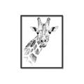 Picture of Sketched Giraffe _GroupedProduct_Rectangle_Portrait_Mini_ _GroupedProduct_Rectangle_Portrait_Canvas_Framed_