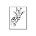 Picture of Sketched Giraffe _GroupedProduct_Rectangle_Portrait_Mini_ _GroupedProduct_Rectangle_Portrait_Canvas_Framed_
