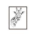 Picture of Sketched Giraffe _GroupedProduct_Rectangle_Portrait_Mini_ _GroupedProduct_Rectangle_Portrait_Canvas_Framed_