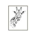 Picture of Sketched Giraffe _GroupedProduct_Rectangle_Portrait_Mini_ _GroupedProduct_Rectangle_Portrait_Canvas_Framed_