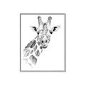 Picture of Sketched Giraffe _GroupedProduct_Rectangle_Portrait_Mini_ _GroupedProduct_Rectangle_Portrait_Canvas_Framed_