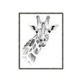 Picture of Sketched Giraffe _GroupedProduct_Rectangle_Portrait_Mini_ _GroupedProduct_Rectangle_Portrait_Canvas_Framed_