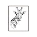 Picture of Sketched Giraffe _GroupedProduct_Rectangle_Portrait_Mini_ _GroupedProduct_Rectangle_Portrait_Canvas_Framed_