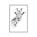 Picture of Sketched Giraffe _GroupedProduct_Rectangle_Portrait_Mini_ _GroupedProduct_Rectangle_Portrait_Canvas_Framed_