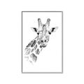 Picture of Sketched Giraffe _GroupedProduct_Rectangle_Portrait_Mini_ _GroupedProduct_Rectangle_Portrait_Canvas_Framed_