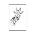 Picture of Sketched Giraffe _GroupedProduct_Rectangle_Portrait_Mini_ _GroupedProduct_Rectangle_Portrait_Canvas_Framed_