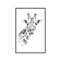 Picture of Sketched Giraffe _GroupedProduct_Rectangle_Portrait_Mini_ _GroupedProduct_Rectangle_Portrait_Canvas_Framed_