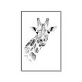 Picture of Sketched Giraffe _GroupedProduct_Rectangle_Portrait_Mini_ _GroupedProduct_Rectangle_Portrait_Canvas_Framed_