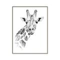 Picture of Sketched Giraffe _GroupedProduct_Rectangle_Portrait_Mini_ _GroupedProduct_Rectangle_Portrait_Canvas_Framed_