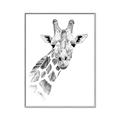 Picture of Sketched Giraffe _GroupedProduct_Rectangle_Portrait_Mini_ _GroupedProduct_Rectangle_Portrait_Canvas_Framed_