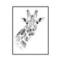 Picture of Sketched Giraffe _GroupedProduct_Rectangle_Portrait_Mini_ _GroupedProduct_Rectangle_Portrait_Canvas_Framed_