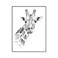 Picture of Sketched Giraffe _GroupedProduct_Rectangle_Portrait_Mini_ _GroupedProduct_Rectangle_Portrait_Canvas_Framed_