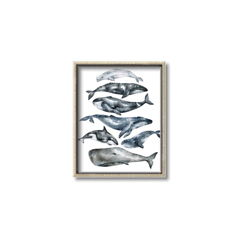 Picture of Fish Pattern _GroupedProduct_Rectangle_Portrait_Mini_ _GroupedProduct_Rectangle_Portrait_Canvas_Framed_