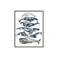 Picture of Fish Pattern _GroupedProduct_Rectangle_Portrait_Mini_ _GroupedProduct_Rectangle_Portrait_Canvas_Framed_