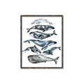 Picture of Fish Pattern _GroupedProduct_Rectangle_Portrait_Mini_ _GroupedProduct_Rectangle_Portrait_Canvas_Framed_