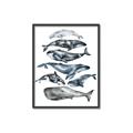 Picture of Fish Pattern _GroupedProduct_Rectangle_Portrait_Mini_ _GroupedProduct_Rectangle_Portrait_Canvas_Framed_