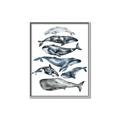 Picture of Fish Pattern _GroupedProduct_Rectangle_Portrait_Mini_ _GroupedProduct_Rectangle_Portrait_Canvas_Framed_