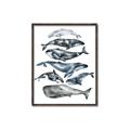 Picture of Fish Pattern _GroupedProduct_Rectangle_Portrait_Mini_ _GroupedProduct_Rectangle_Portrait_Canvas_Framed_