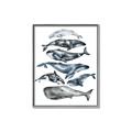Picture of Fish Pattern _GroupedProduct_Rectangle_Portrait_Mini_ _GroupedProduct_Rectangle_Portrait_Canvas_Framed_