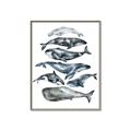 Picture of Fish Pattern _GroupedProduct_Rectangle_Portrait_Mini_ _GroupedProduct_Rectangle_Portrait_Canvas_Framed_