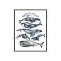 Picture of Fish Pattern _GroupedProduct_Rectangle_Portrait_Mini_ _GroupedProduct_Rectangle_Portrait_Canvas_Framed_
