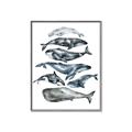 Picture of Fish Pattern _GroupedProduct_Rectangle_Portrait_Mini_ _GroupedProduct_Rectangle_Portrait_Canvas_Framed_