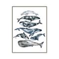 Picture of Fish Pattern _GroupedProduct_Rectangle_Portrait_Mini_ _GroupedProduct_Rectangle_Portrait_Canvas_Framed_