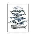 Picture of Fish Pattern _GroupedProduct_Rectangle_Portrait_Mini_ _GroupedProduct_Rectangle_Portrait_Canvas_Framed_