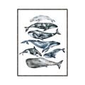 Picture of Fish Pattern _GroupedProduct_Rectangle_Portrait_Mini_ _GroupedProduct_Rectangle_Portrait_Canvas_Framed_