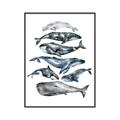 Picture of Fish Pattern _GroupedProduct_Rectangle_Portrait_Mini_ _GroupedProduct_Rectangle_Portrait_Canvas_Framed_