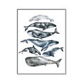 Picture of Fish Pattern _GroupedProduct_Rectangle_Portrait_Mini_ _GroupedProduct_Rectangle_Portrait_Canvas_Framed_