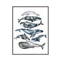 Picture of Fish Pattern _GroupedProduct_Rectangle_Portrait_Mini_ _GroupedProduct_Rectangle_Portrait_Canvas_Framed_