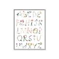 Picture of Botanical alphabet _GroupedProduct_Rectangle_Portrait_Mini_ _GroupedProduct_Rectangle_Portrait_Canvas_Framed_