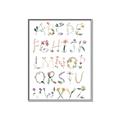 Picture of Botanical alphabet _GroupedProduct_Rectangle_Portrait_Mini_ _GroupedProduct_Rectangle_Portrait_Canvas_Framed_