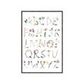 Picture of Botanical alphabet _GroupedProduct_Rectangle_Portrait_Mini_ _GroupedProduct_Rectangle_Portrait_Canvas_Framed_
