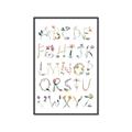 Picture of Botanical alphabet _GroupedProduct_Rectangle_Portrait_Mini_ _GroupedProduct_Rectangle_Portrait_Canvas_Framed_