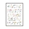 Picture of Botanical alphabet _GroupedProduct_Rectangle_Portrait_Mini_ _GroupedProduct_Rectangle_Portrait_Canvas_Framed_