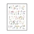 Picture of Botanical alphabet _GroupedProduct_Rectangle_Portrait_Mini_ _GroupedProduct_Rectangle_Portrait_Canvas_Framed_
