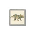 Picture of Triceratops _GroupedProduct_Square_Mini_ _GroupedProduct_Square_Canvas_Framed_