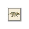 Picture of Triceratops _GroupedProduct_Square_Mini_ _GroupedProduct_Square_Canvas_Framed_