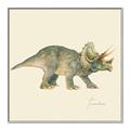 Picture of Triceratops _GroupedProduct_Square_Mini_ _GroupedProduct_Square_Canvas_Framed_