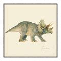 Picture of Triceratops _GroupedProduct_Square_Mini_ _GroupedProduct_Square_Canvas_Framed_