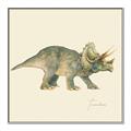 Picture of Triceratops _GroupedProduct_Square_Mini_ _GroupedProduct_Square_Canvas_Framed_