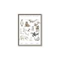 Picture of Cute Wild Animals II _GroupedProduct_Rectangle_Portrait_Mini_ _GroupedProduct_Rectangle_Portrait_Canvas_Framed_