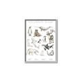 Picture of Cute Wild Animals II _GroupedProduct_Rectangle_Portrait_Mini_ _GroupedProduct_Rectangle_Portrait_Canvas_Framed_
